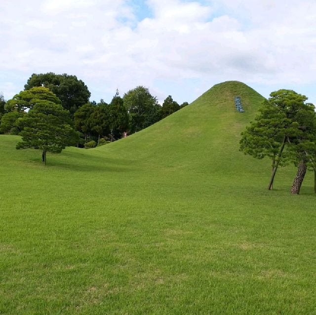 綠悠悠的公園🌳🌳🌳