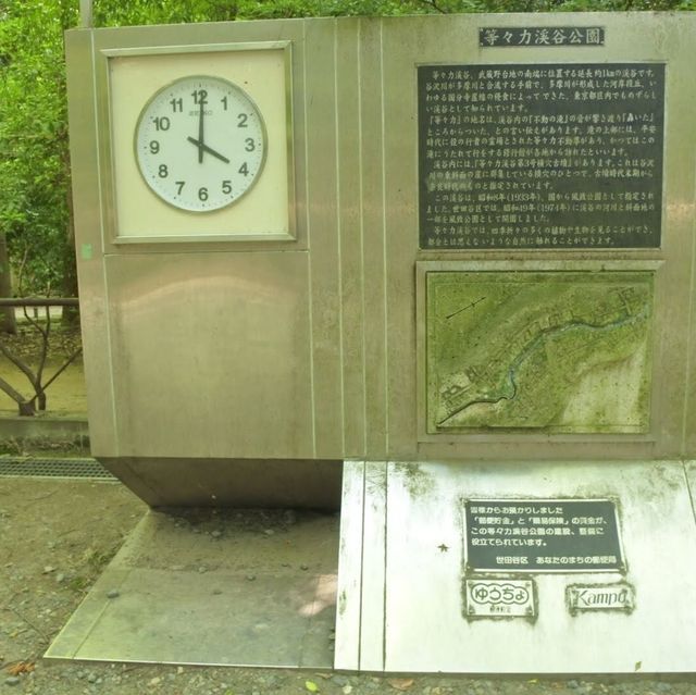 東京の等々力渓谷