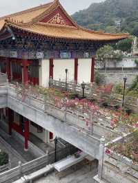 圓玄學院 半日遊