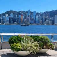 維港觀賞地方