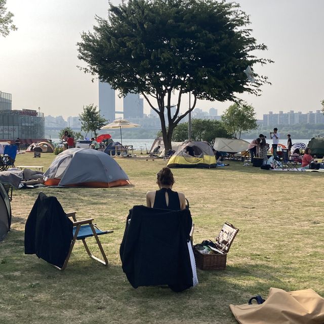 한강 피크닉_반포한강공원