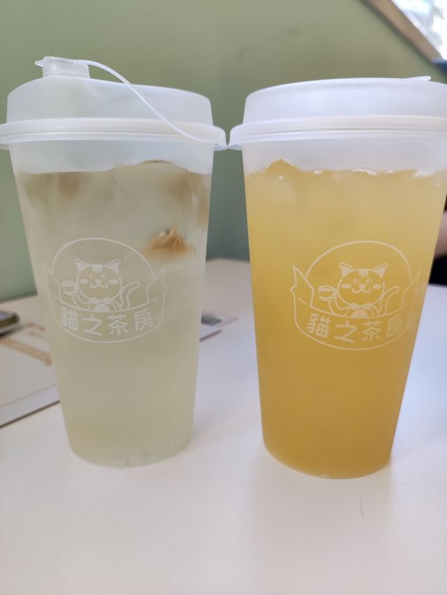 🐈貓貓可愛友善，可惜⋯「貓之茶房」
