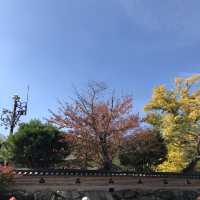 부산 단풍 명소, '범어사'