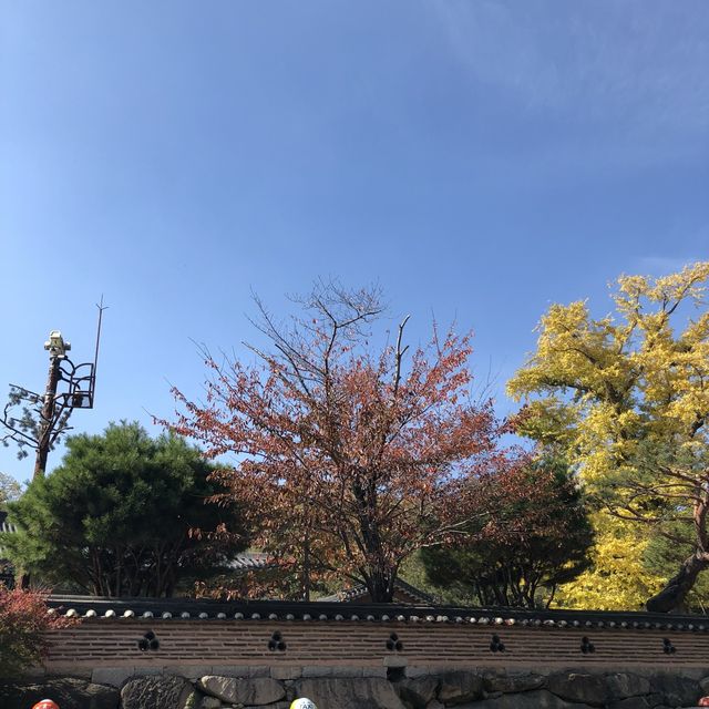 부산 단풍 명소, '범어사'