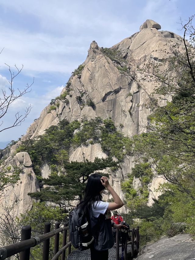 [서울]서울에서 가장 높은 곳에서 피크닉하기❣️
