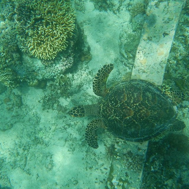 beautiful Gili islands Indonesia 