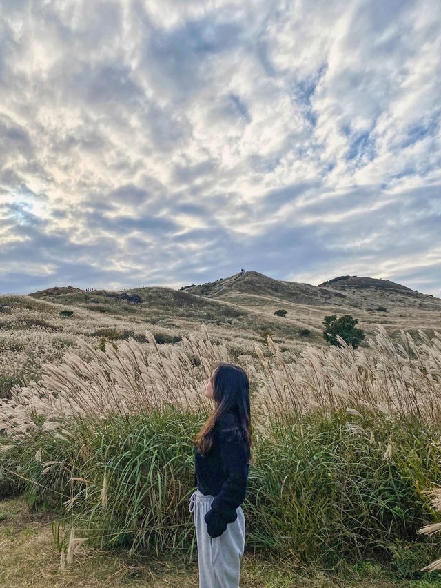 가을 억새명소, 황매산오토캠핑장 둘러보기🏕