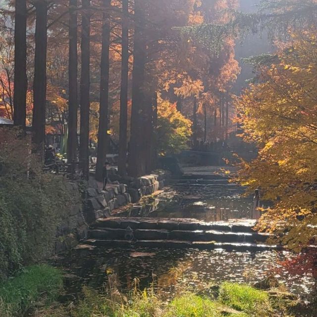 Jangtaesan Mountain