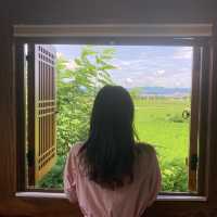 경주 독채펜션, 오릉도원