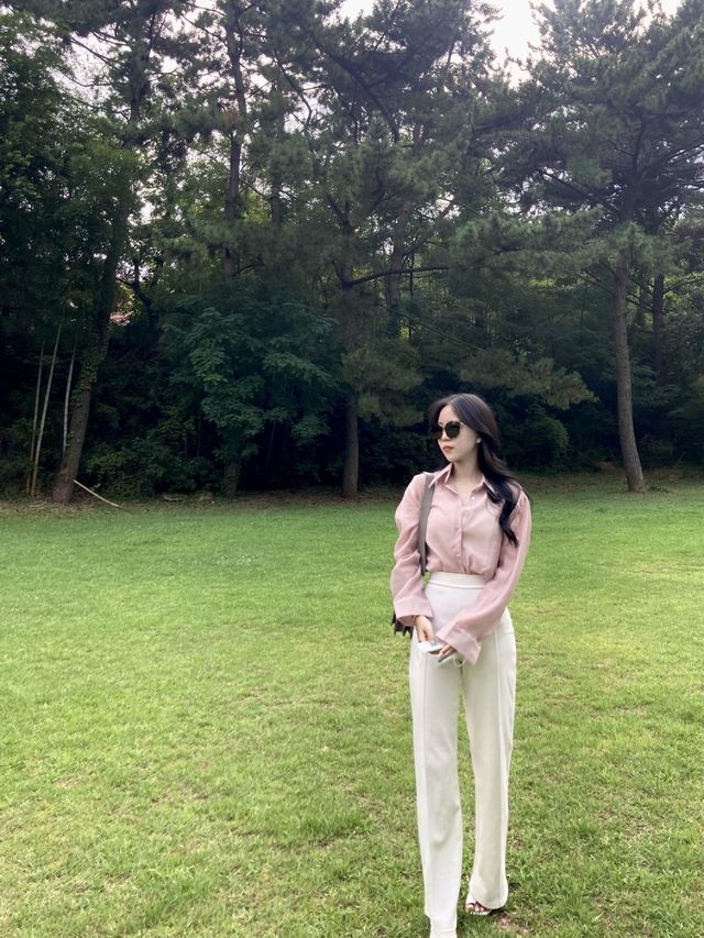 창원 가로수길 
