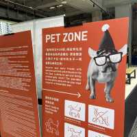 airside 市集