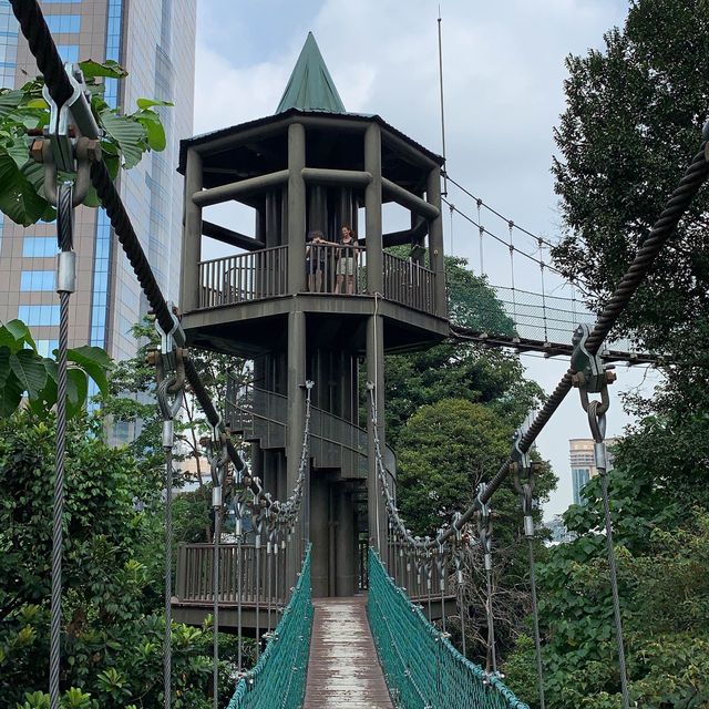 Jungle in the middle of Kuala Lumpur