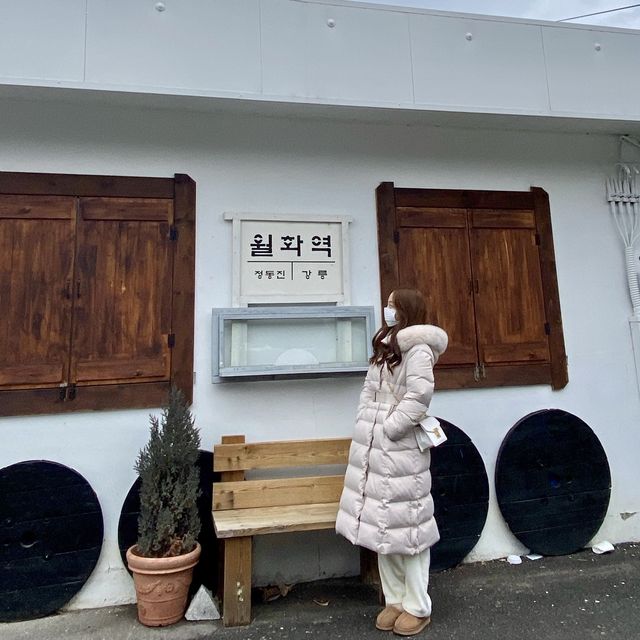 가성비 코스 [강릉 중앙시장]