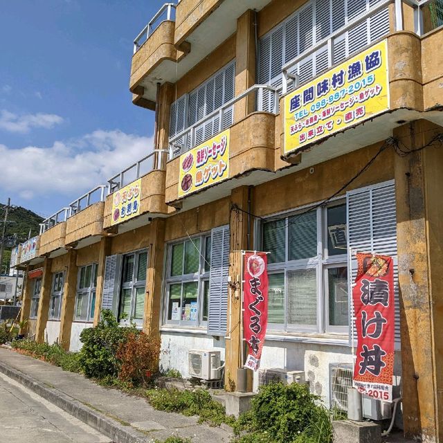 【離島飯】座間味村漁協の海鮮丼がコスパ良すぎ