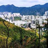 針山