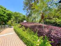 另一高處 落馬洲花園