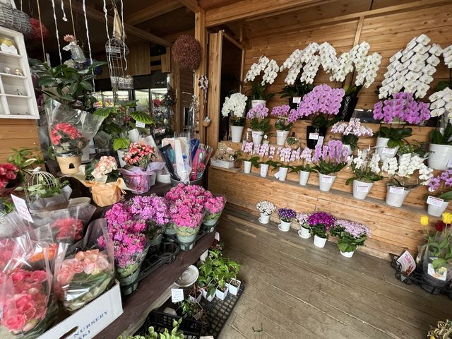 【福岡】福間ラーメンとお花屋さん