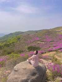 봄엔 철쭉보러 황매산 가야지 💗