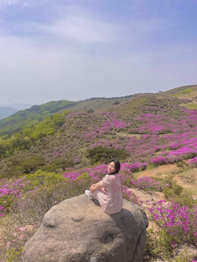 봄엔 철쭉보러 황매산 가야지 💗