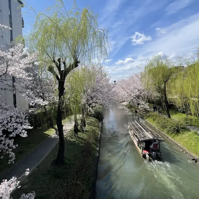 京都伏見 十石舟