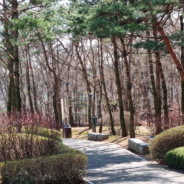 화창한 봄날 화성 롤링힐스 호텔에서 피크닉