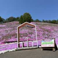 東藻琴の芝桜公園へ