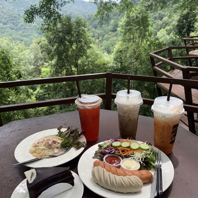 ร้านกาแฟบนต้นไม้ใหญ่ท่ามกลางป่าเขา