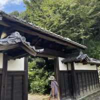 緑あふれる公園SLがあるよ！生田緑地