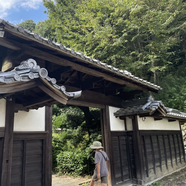 緑あふれる公園SLがあるよ！生田緑地