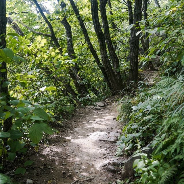 치악산 등산