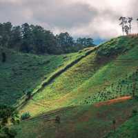 เลาวู เวียงแหง เชียงใหม่ ที่ของคนรักเขา