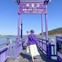 온세상이 보라보라해 💜 신안 핫플 “퍼플섬”🏝️