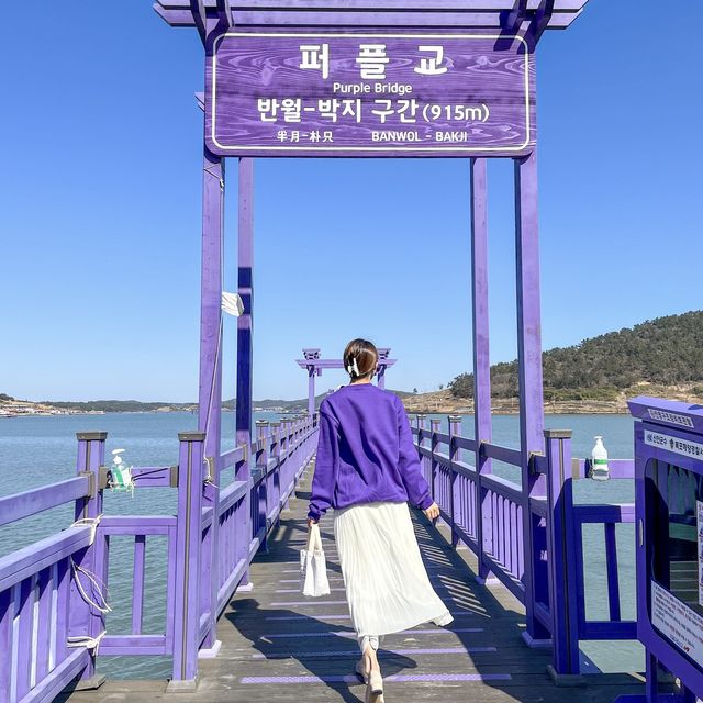온세상이 보라보라해 💜 신안 핫플 “퍼플섬”🏝️