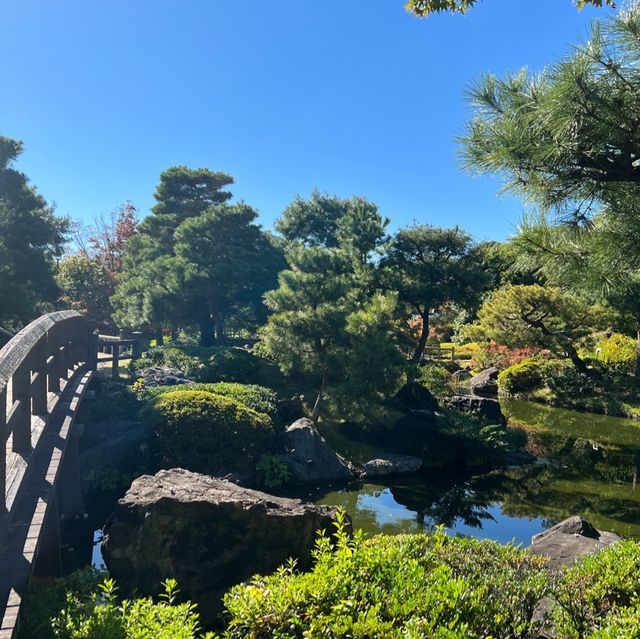 名古屋 楓葉下 的白鳥庭園🍁🍁