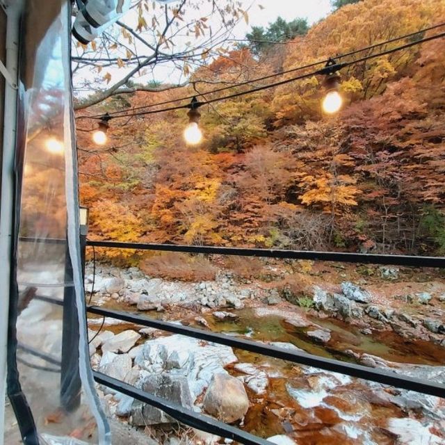 Jirisan Black Pig meal with nice foliage view