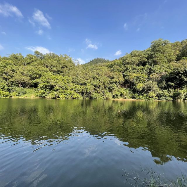 秋高氣爽🍂 流水響📸影落羽杉🌿影天空之鏡🪞