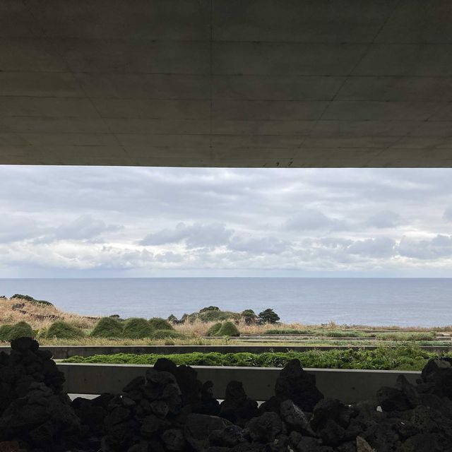 涉地可支