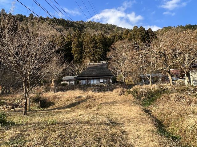 美山合掌村 （京都府）