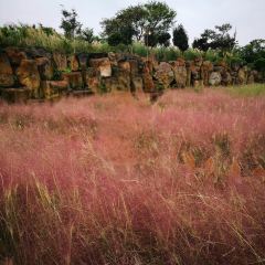 Manor Blanc User Photo