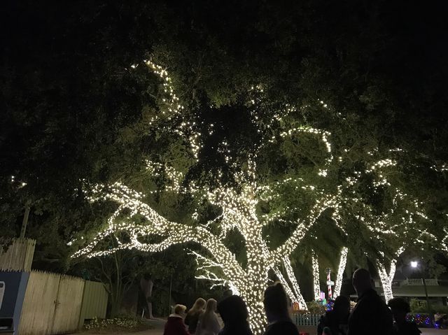 Celebrating name’s day at Tampa BushGarden 