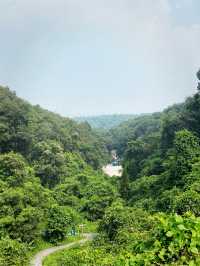 Tianzhu Mountain Forest Park 