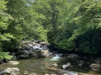 Hike to Chimney Top - Great Smokies 