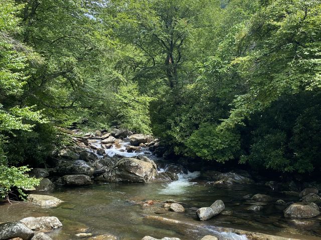 Hike to Chimney Top - Great Smokies 