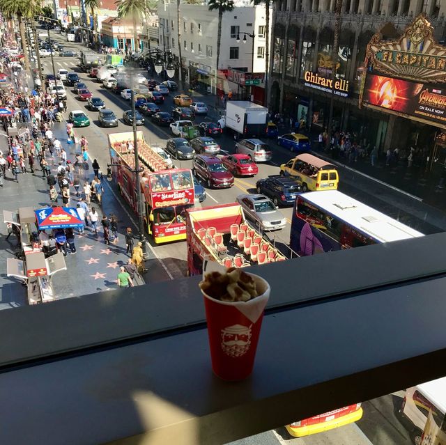 Discover miraculous Hollywood Blvd