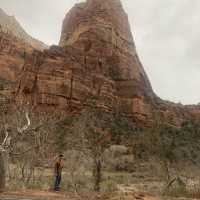 Zion Adventure 