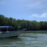 Kilim geoforest park sea eagles 