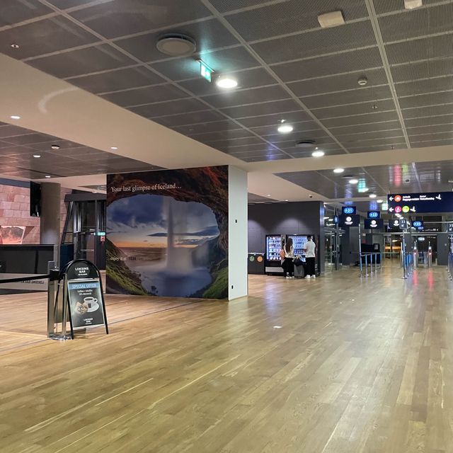 🇮🇸冰島遊記 由機場去冰島的市中心