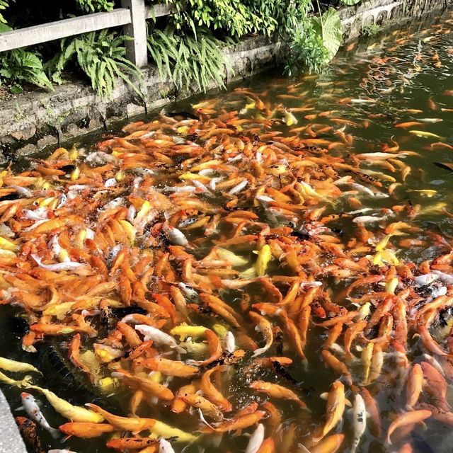 Baiyun Mountain - Guangzhou