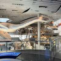 Shanghai Natural History Museum