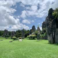 Shilin Stone Forest - Kunming, Yunnan